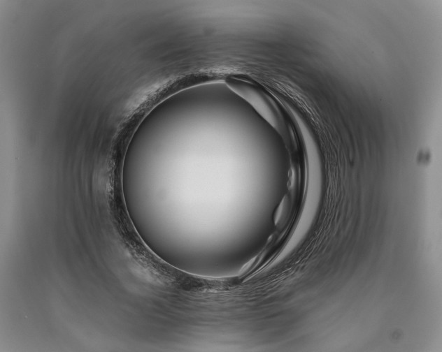 X0000090880732200707271311