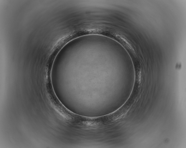 X0000090880733200707271311