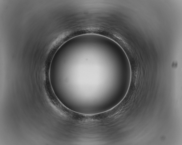 X0000090880734200707271311