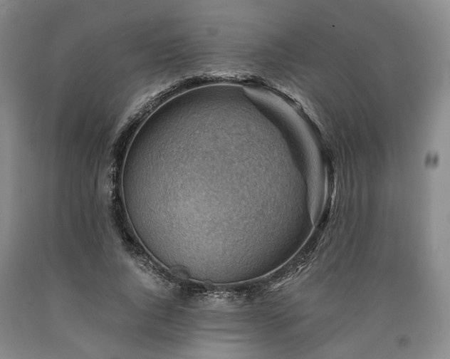 X0000090880736200707271311