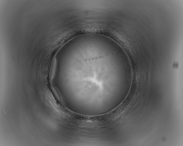 X0000090880737200707271311