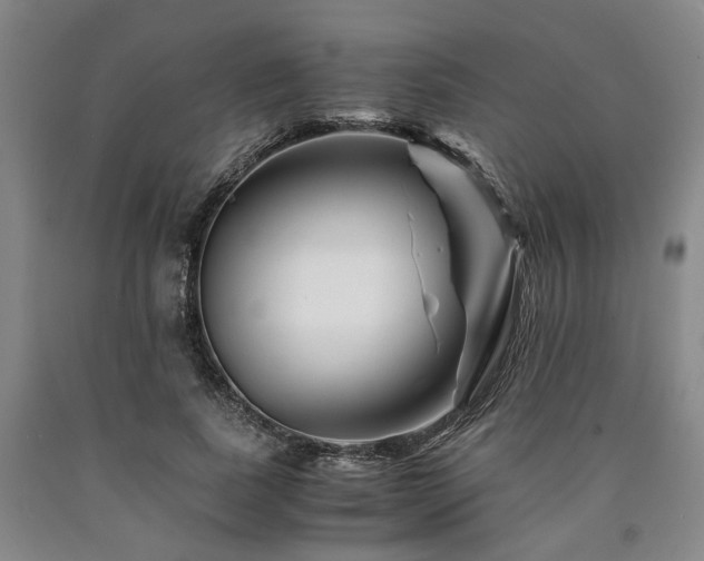 X0000090880739200707271311