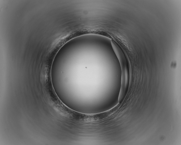 X0000090880740200707271311