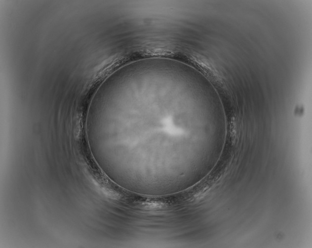 X0000090880741200707271311