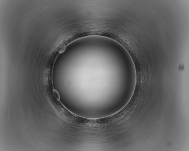 X0000090880742200707271311