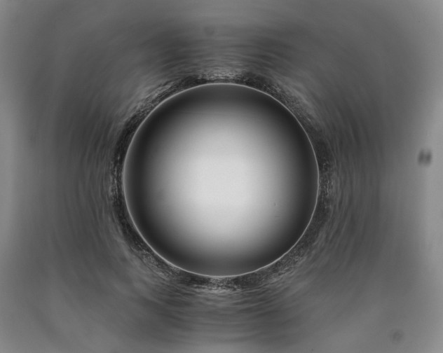 X0000090880743200707271311