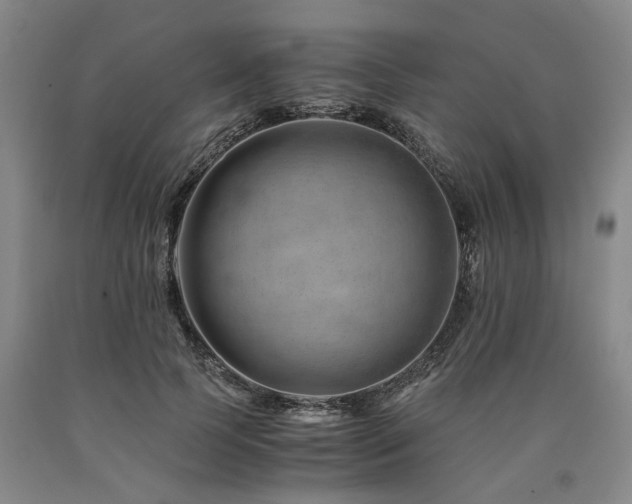 X0000090880745200707271311
