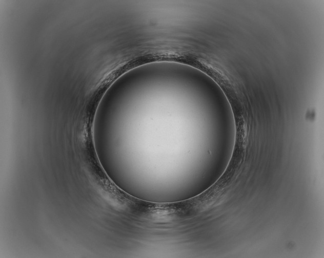 X0000090880746200707271311