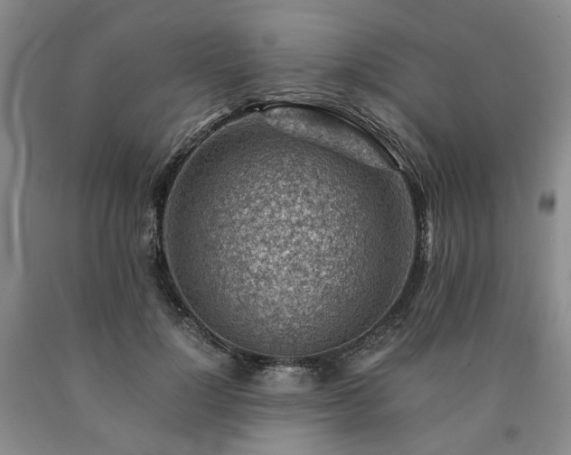 X0000090880748200707271311