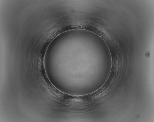 X0000090880749200707271311