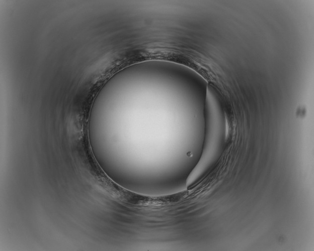 X0000090880751200707271311