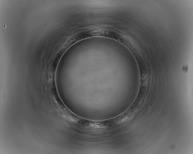 X0000090880753200707271311