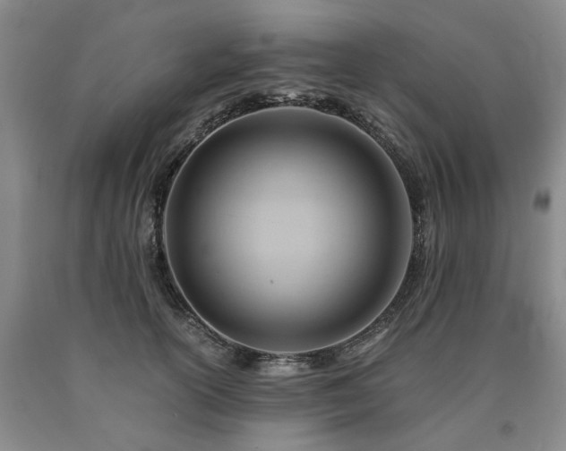 X0000090880754200707271311