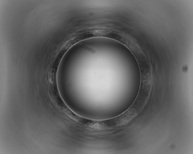X0000090880755200707271311