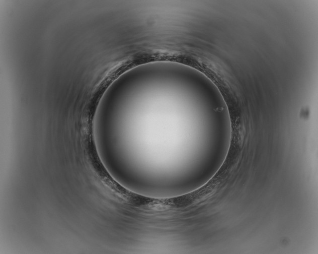 X0000090880756200707271311
