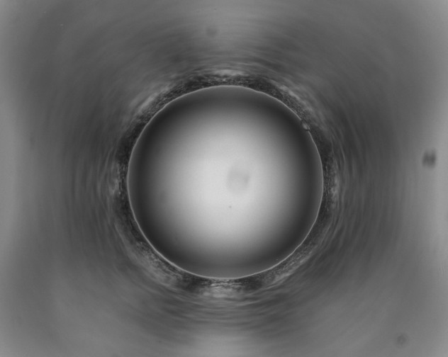 X0000090880758200707271311