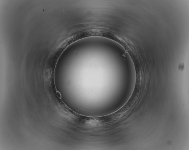 X0000090880759200707271311