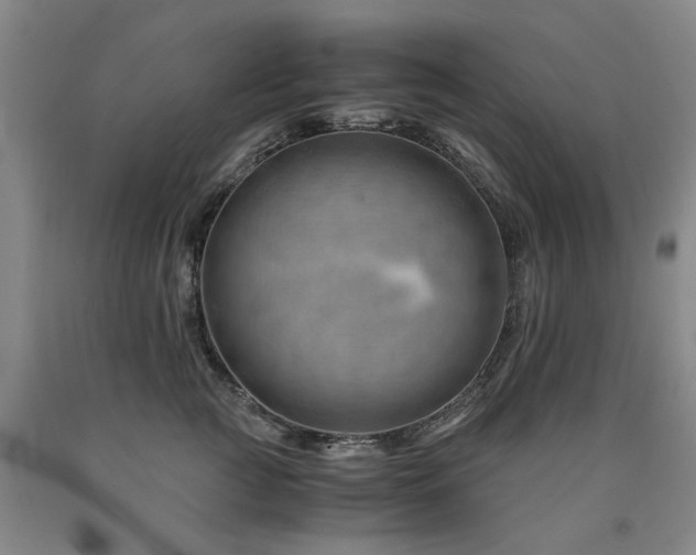X0000090880761200707271311