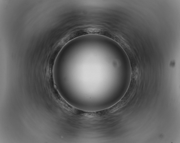X0000090880763200707271311