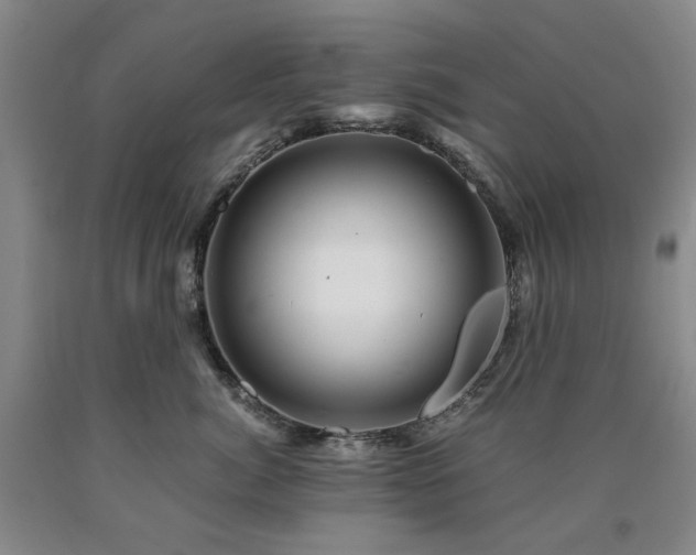 X0000090880764200707271311