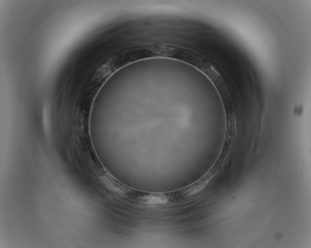 X0000090880765200707271311