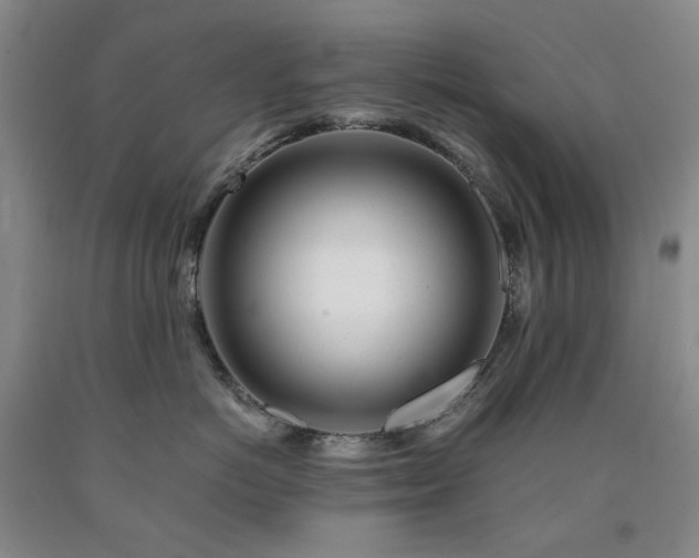 X0000090880766200707271311