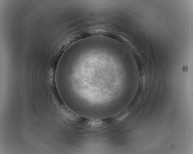 X0000090880767200707271311