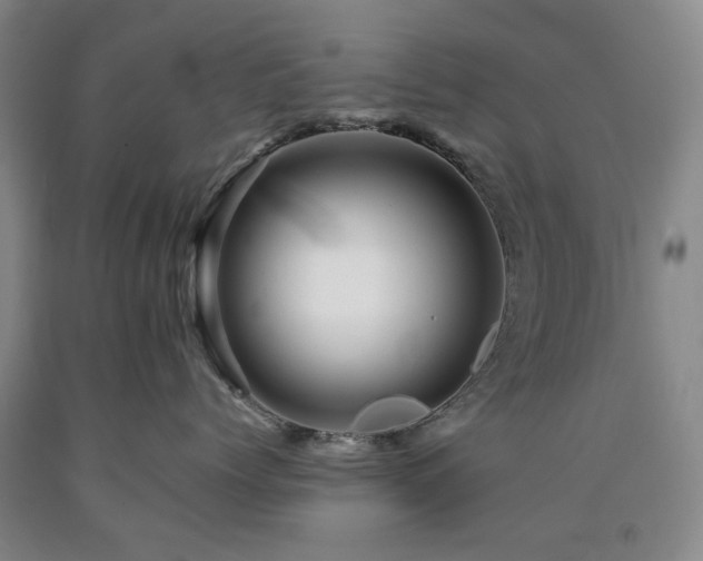 X0000090880768200707271311