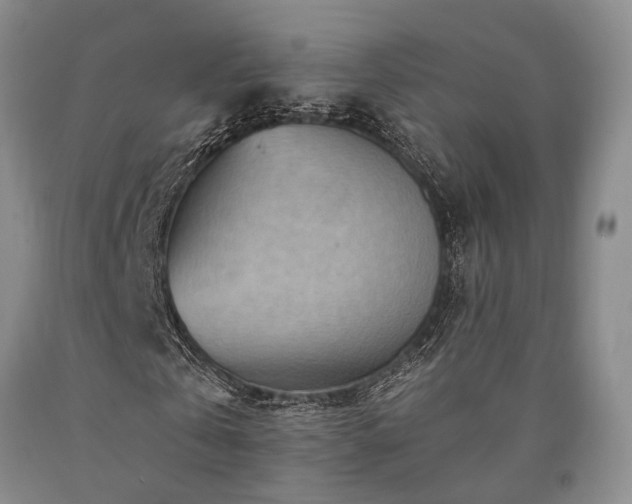X0000090880769200707271310