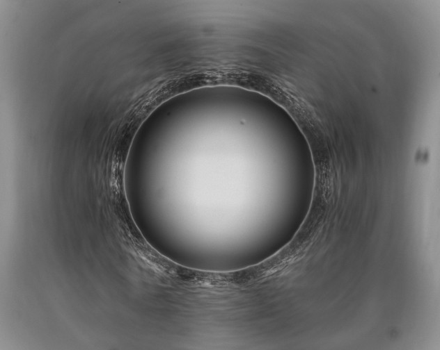 X0000090880770200707271310