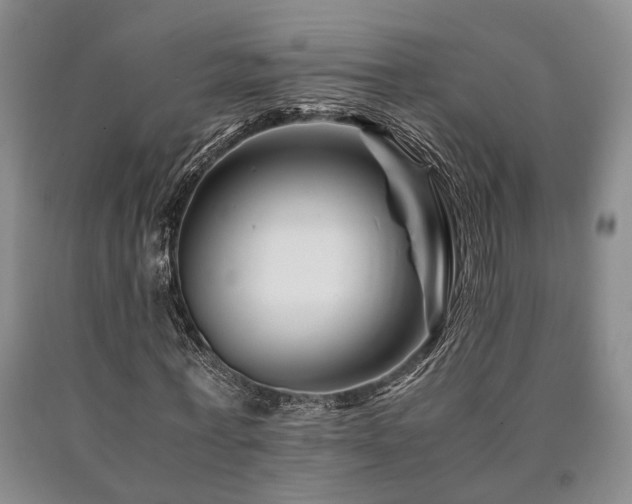 X0000090880771200707271310