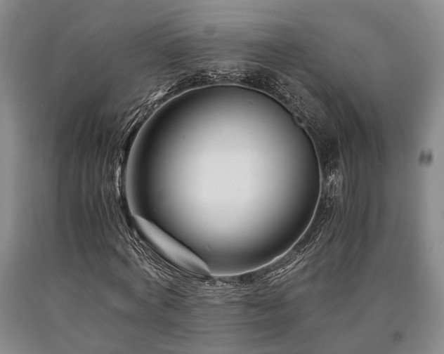 X0000090880772200707271310
