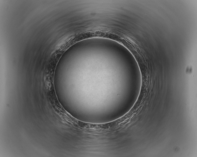 X0000090880774200707271310