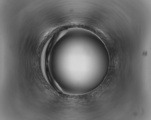 X0000090880776200707271310