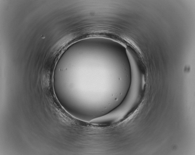 X0000090880777200707271310