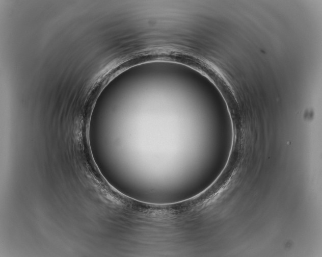 X0000090880778200707271310