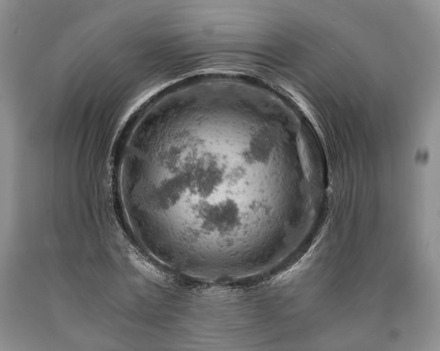 X0000090880779200707271310