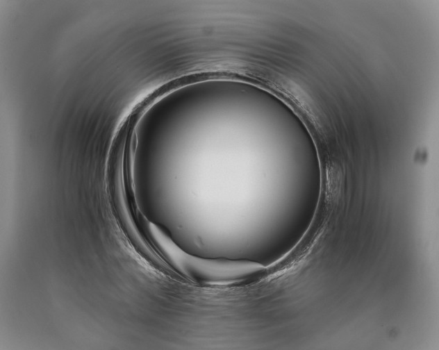 X0000090880780200707271310