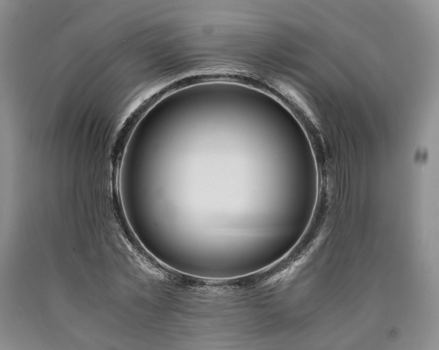 X0000090880781200707271310