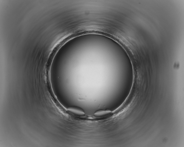 X0000090880782200707271310