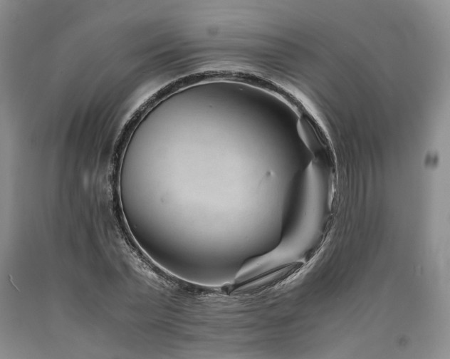 X0000090880783200707271310