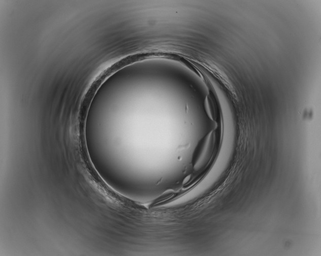 X0000090880784200707271310