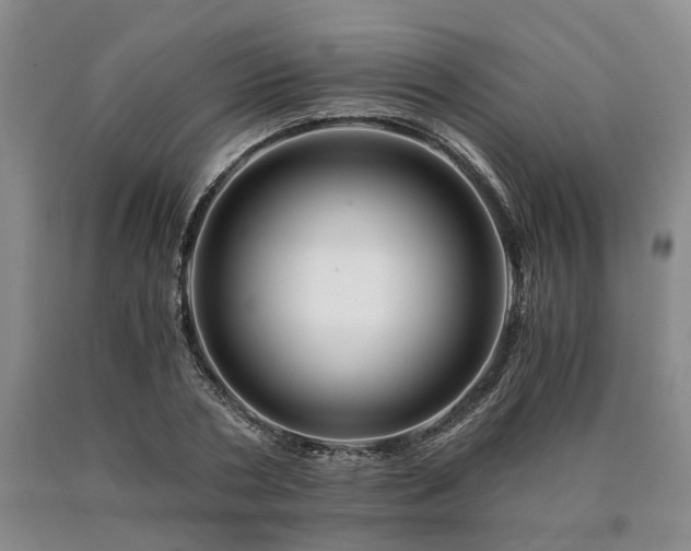 X0000090880786200707271310