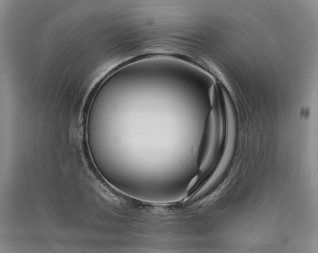 X0000090880787200707271310