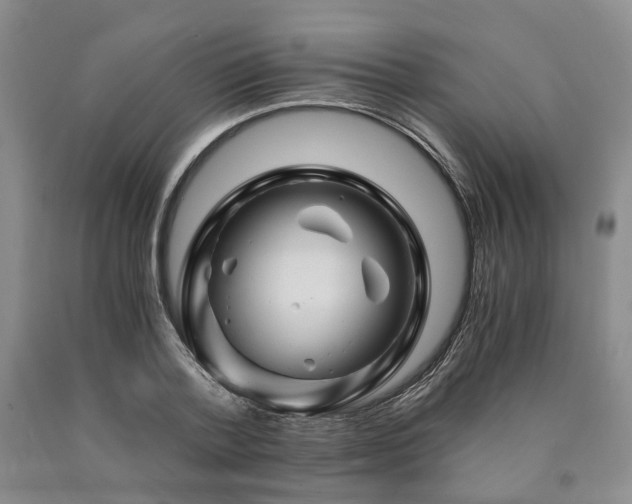 X0000090880788200707271310