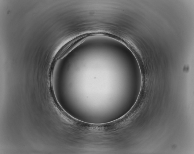 X0000090880789200707271310