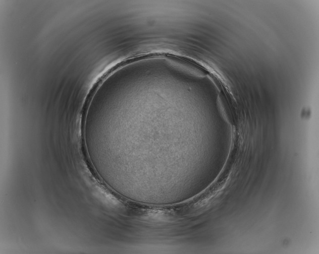X0000090880790200707271310