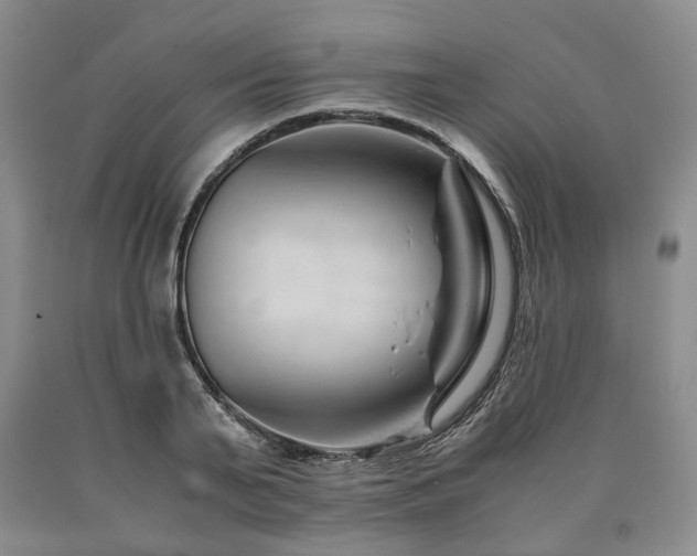 X0000090880791200707271310