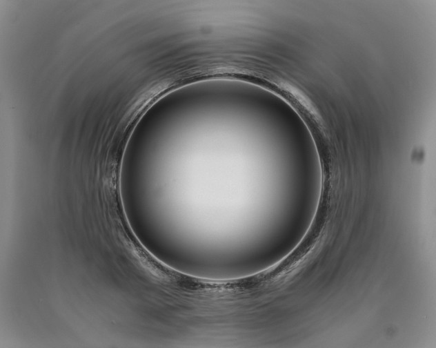 X0000090880793200707271310