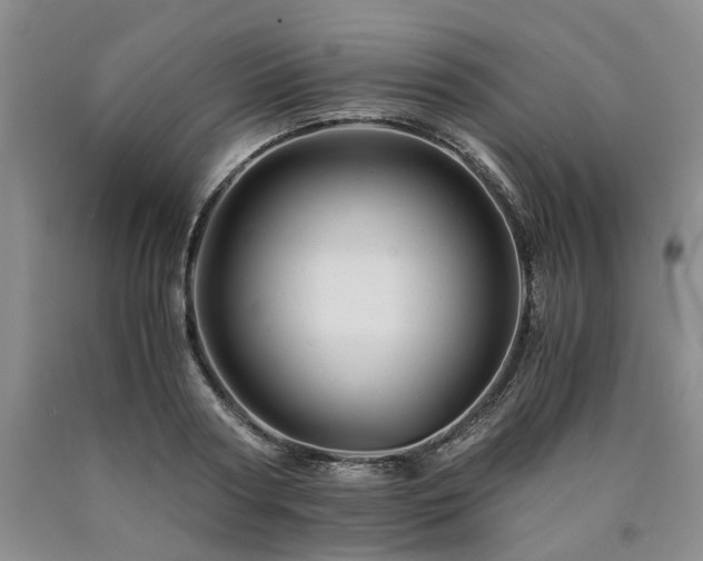 X0000090880794200707271310